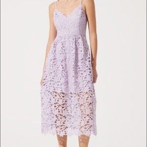 Astr Violet lace dress